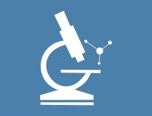 Research-development activity in 2020 Research-development activity in 2020