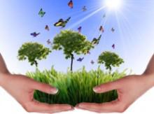  Environmental protection expediture in 2015 