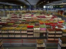 Wholesale turnover Wholesale turnover