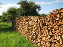 Forestry activity in 2016 Forestry activity in 2016