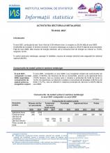 Seria statistica industriei – Activitatea sectorului metalurgic Seria statistica industriei – Activitatea sectorului metalurgic