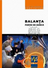 Labour force balance on January 1, 2023