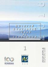 Buletin statistic lunar al judeţelor nr.1/2018