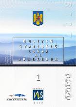 Monthly statistical bulletin of counties no.1/2019