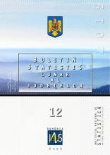Buletinul statistic lunar al judeţelor nr.12/2019