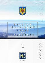 Buletinul statistic lunar al judeţelor nr.1/2020