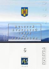 Buletin statistic lunar al judeţelor nr.6/2020