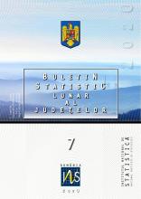 Buletin statistic lunar al judeţelor nr.7/2020