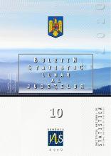 Buletin statistic lunar al judeţelor nr.10/2020