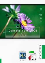 Conturi economice de mediu
