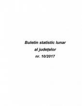 Buletin statistic lunar al judeţelor nr.10/2017