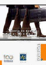 Romanian labour force: employment and unemployment in 2017 (romanian)