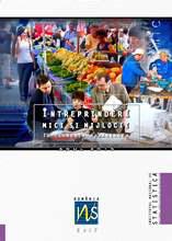 Întreprinderi mici şi mijlocii în  economia românească în anul 2015