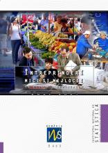 Small and Medium Enterprises in the Romanian economy