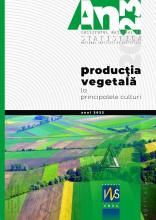 Crop production for main crops, in 2023 Crop production for main crops, in 2023