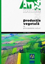 Producția vegetală la principalele culturi în anul 2024