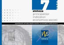 Sinteza principalilor indicatori economico-sociali nr. 7/2023