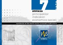 Sinteza principalilor indicatori economico-sociali nr. 7/2024