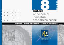 Sinteza principalilor indicatori economico-sociali nr. 8/2023