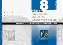 Sinteza principalilor indicatori economico-sociali nr. 8/2024