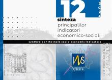Sinteza principalilor indicatori economico-sociali nr. 12/2024