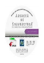 Studii de conjunctură economică industria prelucratoare trim.II/2016