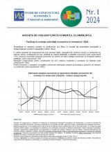 Studii de conjunctură economică - Comerţul cu amănuntul tr. I/2024
