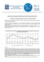 Studii de conjunctură economică - Industria prelucrătoare tr. I/2024