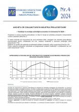 studii_de_conjunctura_economica_industrie_tr4_2024