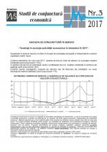 Studii de conjunctură economică servicii trim. III/2017
