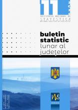 Buletin statistic lunar al judeţelor nr.11/2024