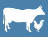 Producţia animală obținută în anul 2024