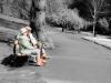Average number of pensioners and average monthly pension in fourth quarter of 2015
