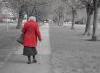 Numărul de pensionari și pensia medie lunară în trimestrul III 2015