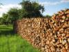 Exploited wood volume in 2015